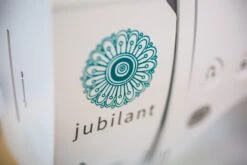 Baby Lock Jubilant Sewing Machine -Sewing Supplies Store baby lock jubilant sewing machine sewing serger embroidery machines 913771