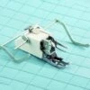 Baby Lock Walking Foot With Quilt Guide For Jane -Sewing Supplies Store baby lock walking foot with quilt guide for jane sewing accessories notions 122023