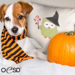 OESD Fall Festival Applique Embroidery Design Collection 9 OESD Fall Festival Applique Embroidery Design Collection -Sewing Supplies Store oesd fall festival applique embroidery design collection sewing accessories notions 284241