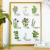 OESD Herb Garden Embroidery Design Collection -Sewing Supplies Store oesd herb garden embroidery design collection sewing accessories notions 798956