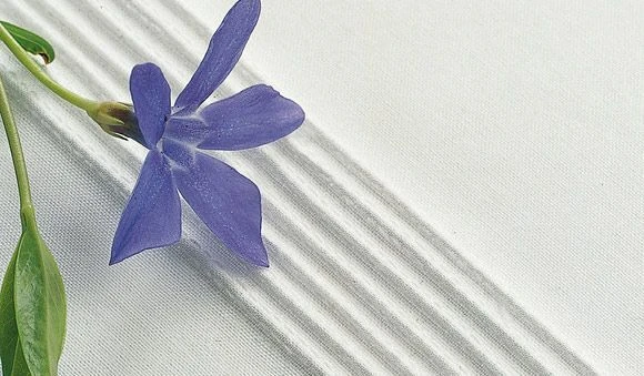 Viking 7 Groove Pin Tuck Foot 3 Viking 7 Groove Pin Tuck Foot